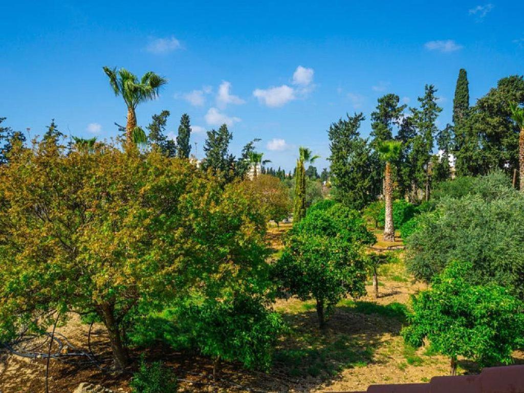 Pafilia Garden Appartement